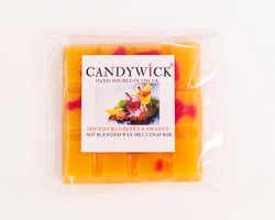 Spiced Cranberry & Orange Wax Snap Bar